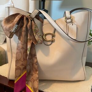 Coach Theo Tote chalk